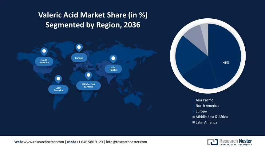 Valeric Acid Market size